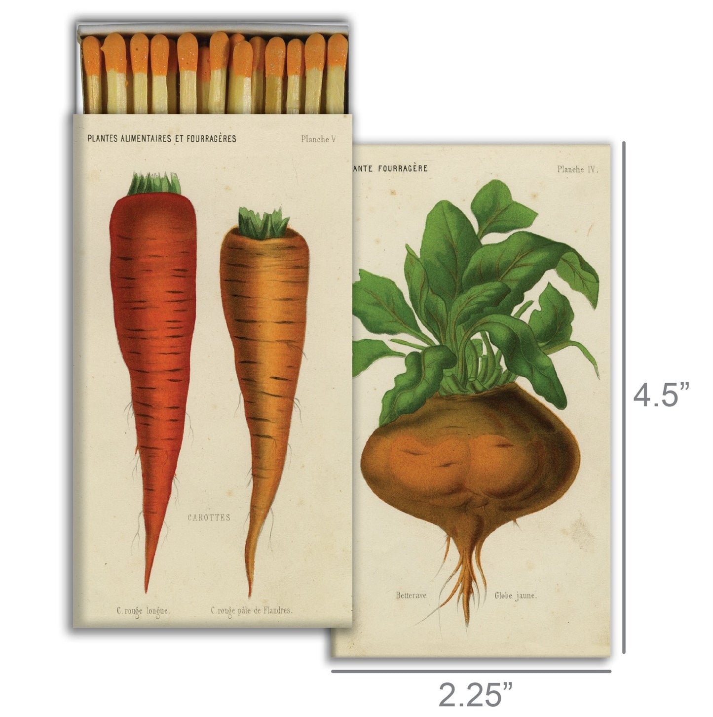Decorative Matchbox - Root Vegetables