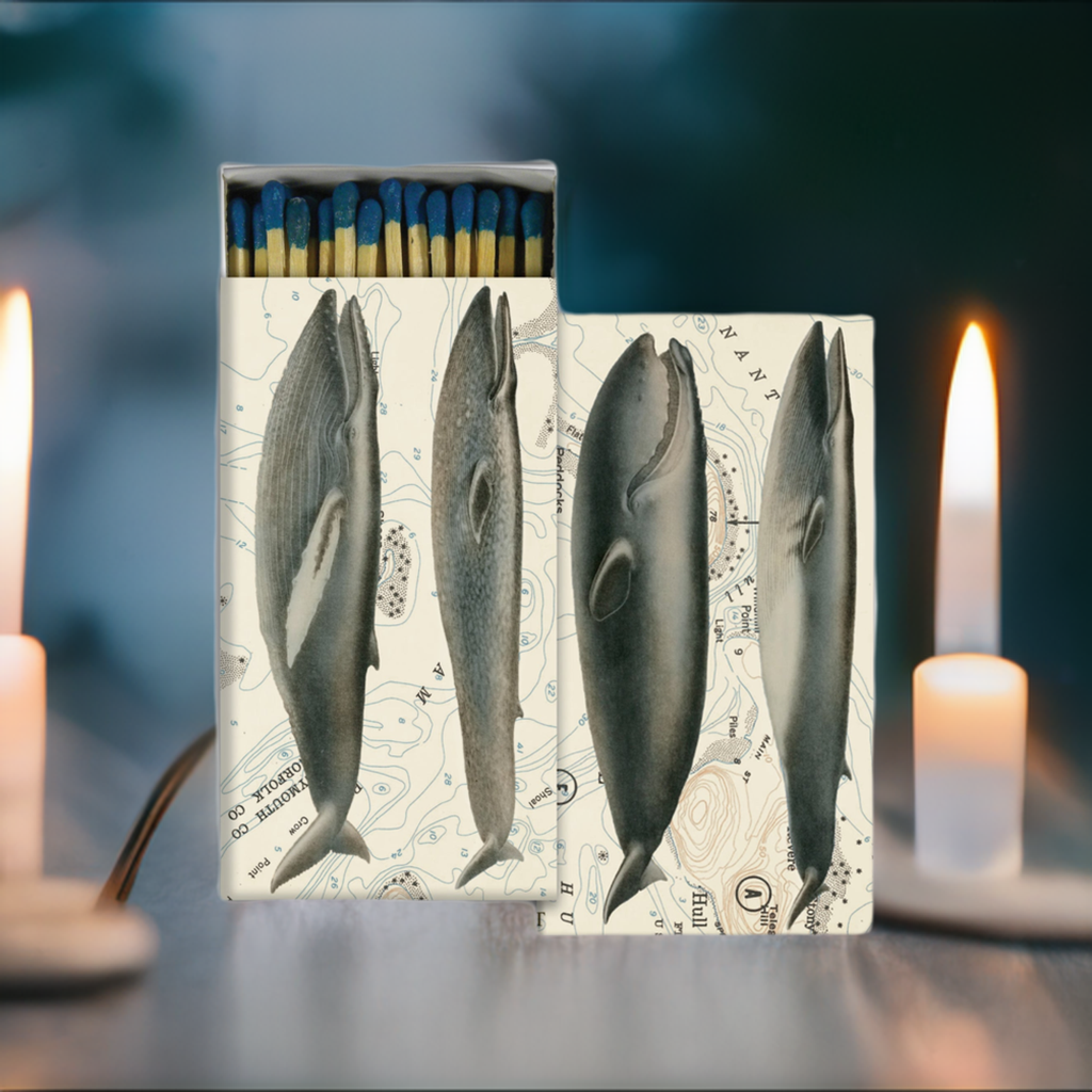 Decorative Matchbox - Whales