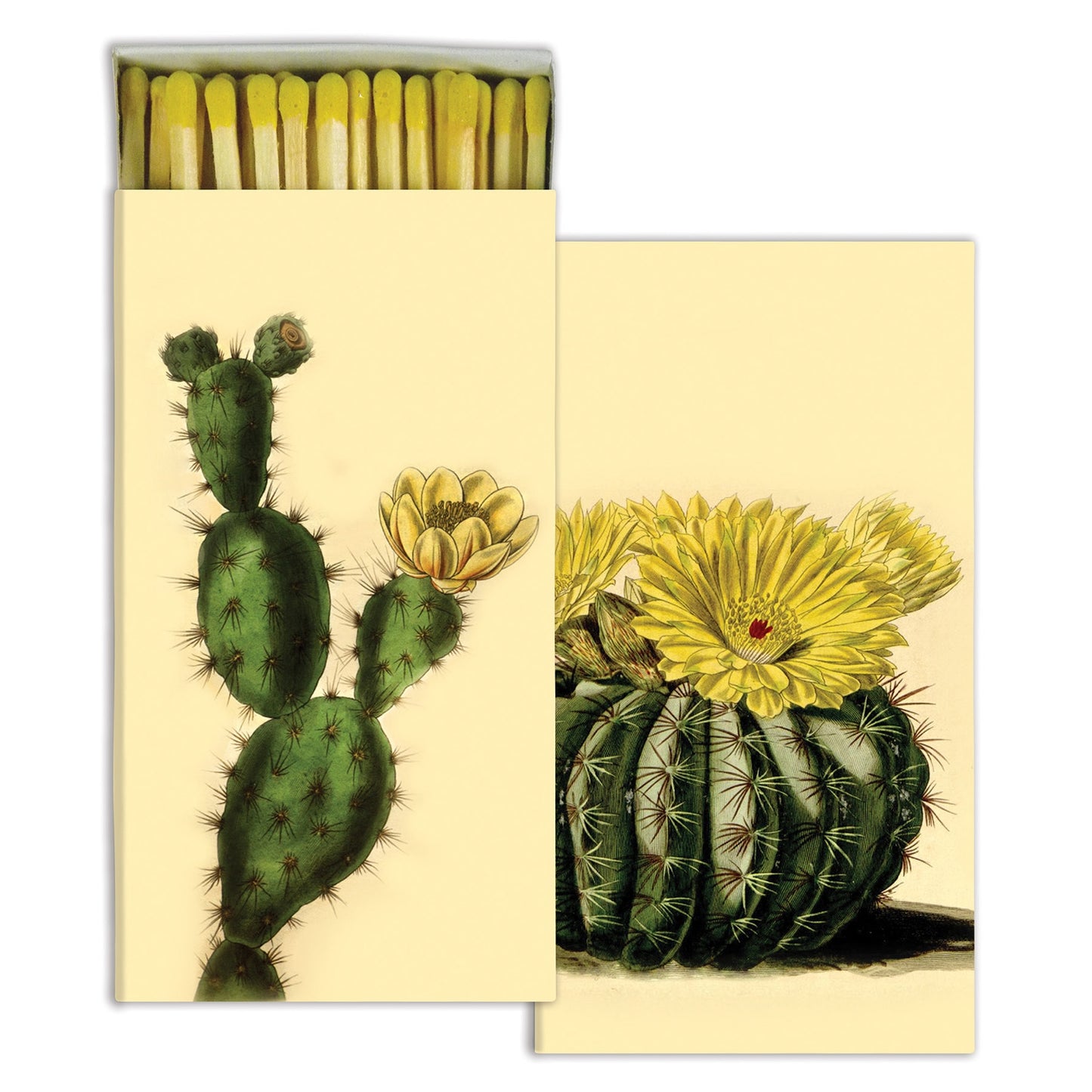 Decorative Matchbox - Cacti