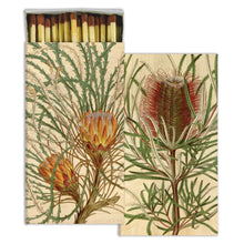 Load image into Gallery viewer, Protea
