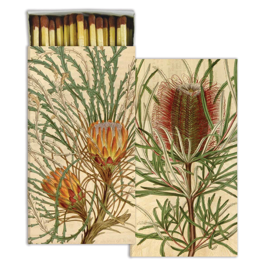 Protea