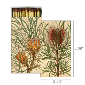 Protea