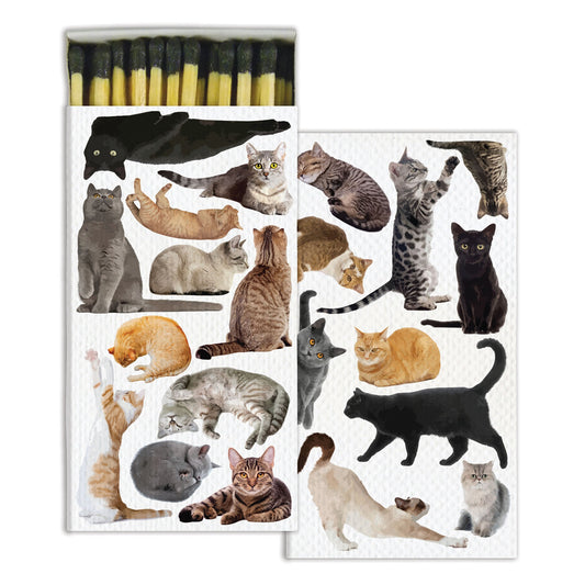 Decorative Matchbox - Cat Pack