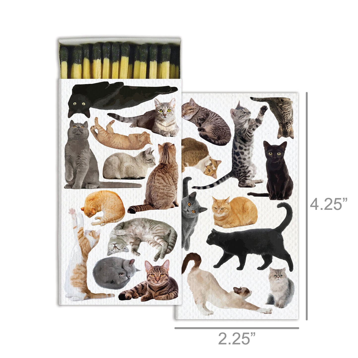 Decorative Matchbox - Cat Pack