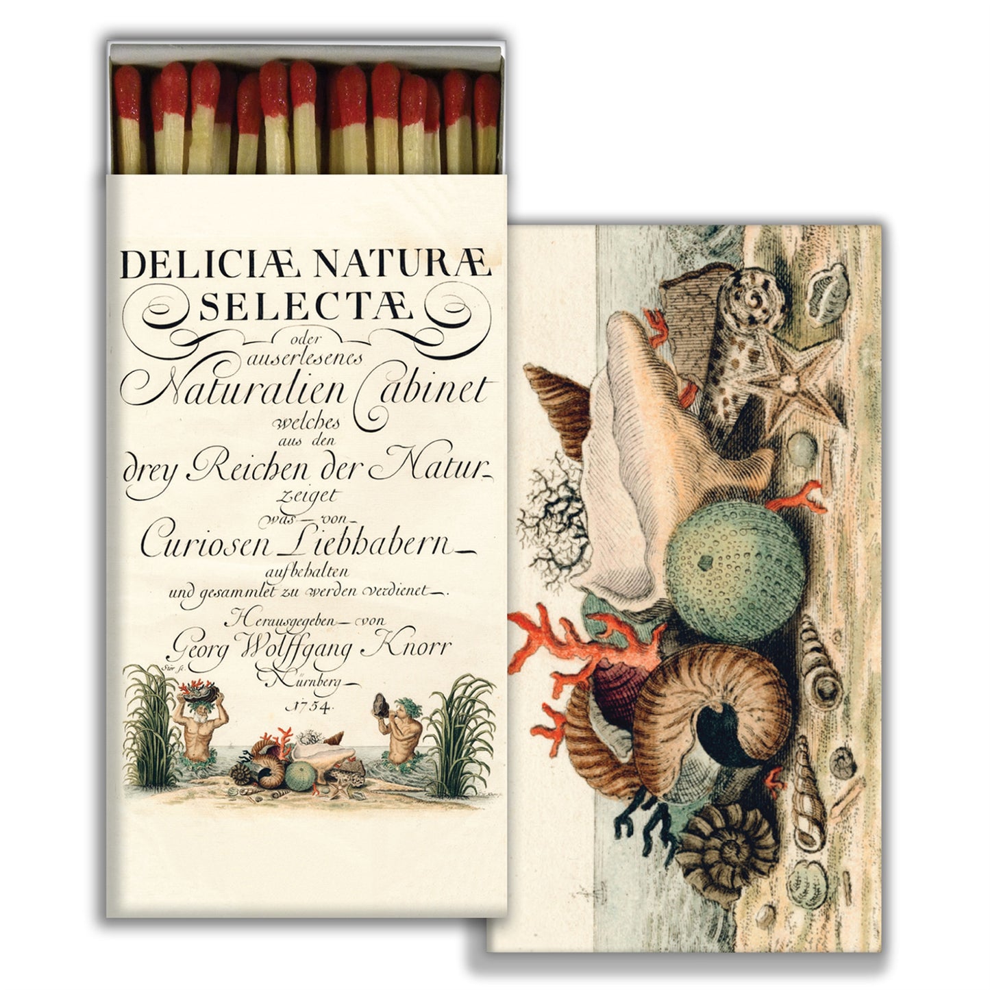 Decorative Matchbox - Shells 1775