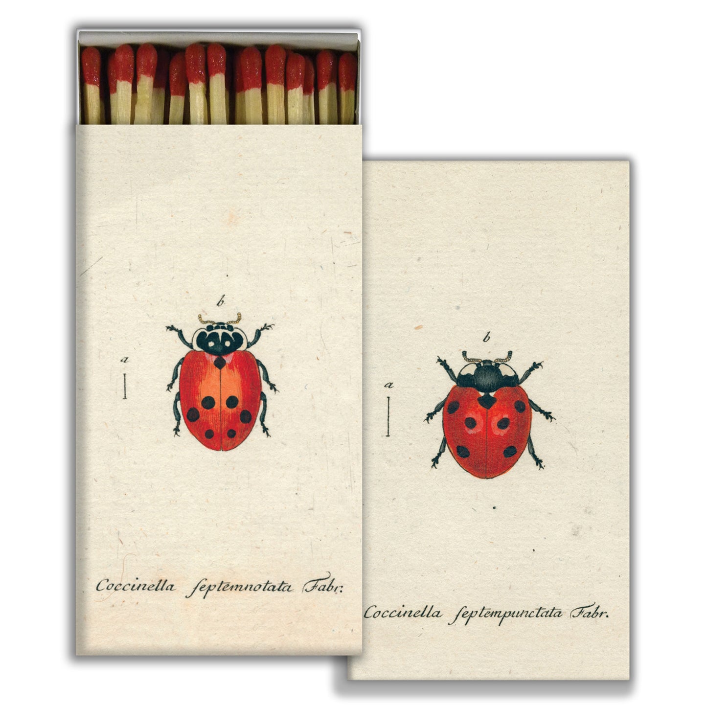 Decorative Matchbox - Lady Bug
