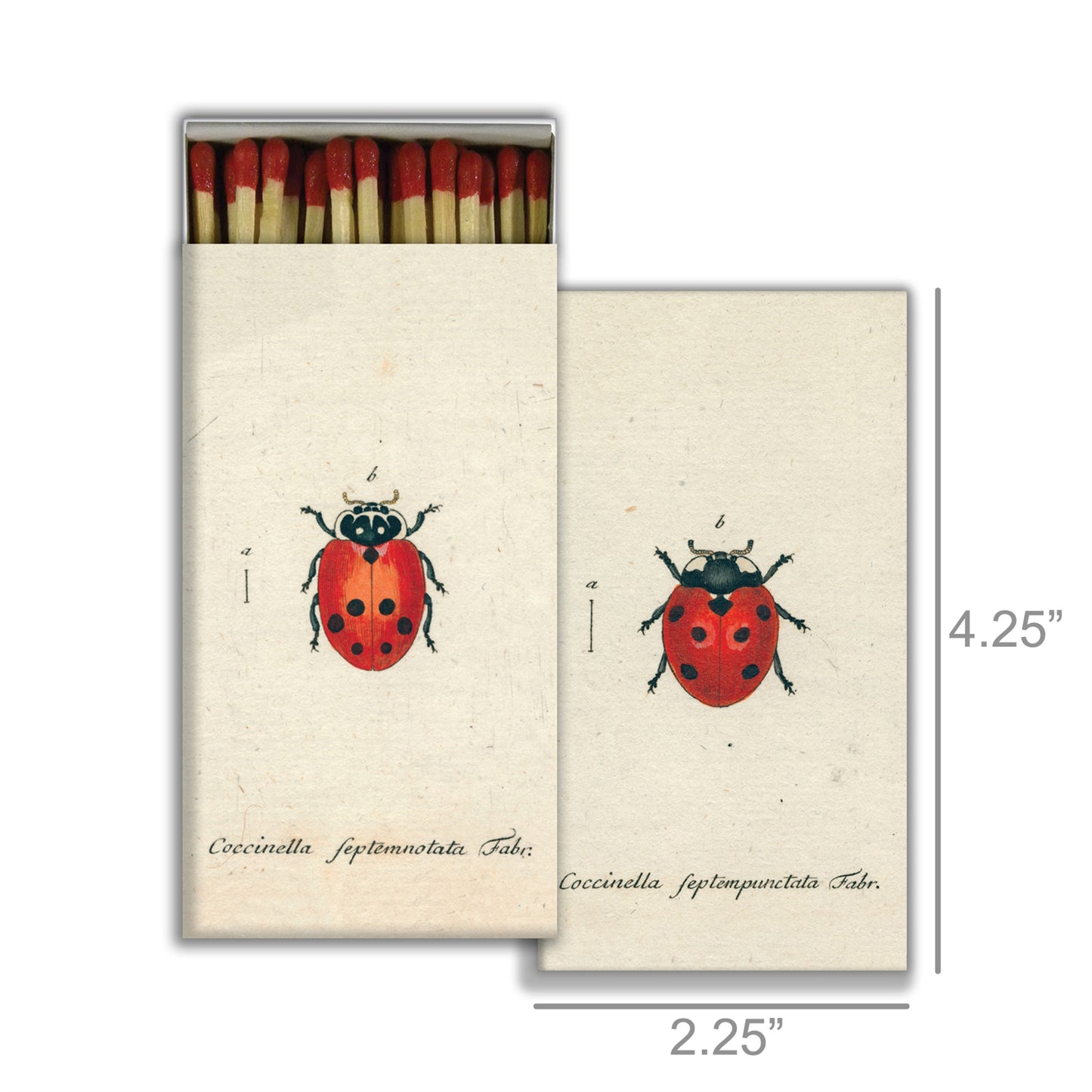 Decorative Matchbox - Lady Bug
