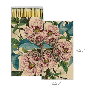 French Peony