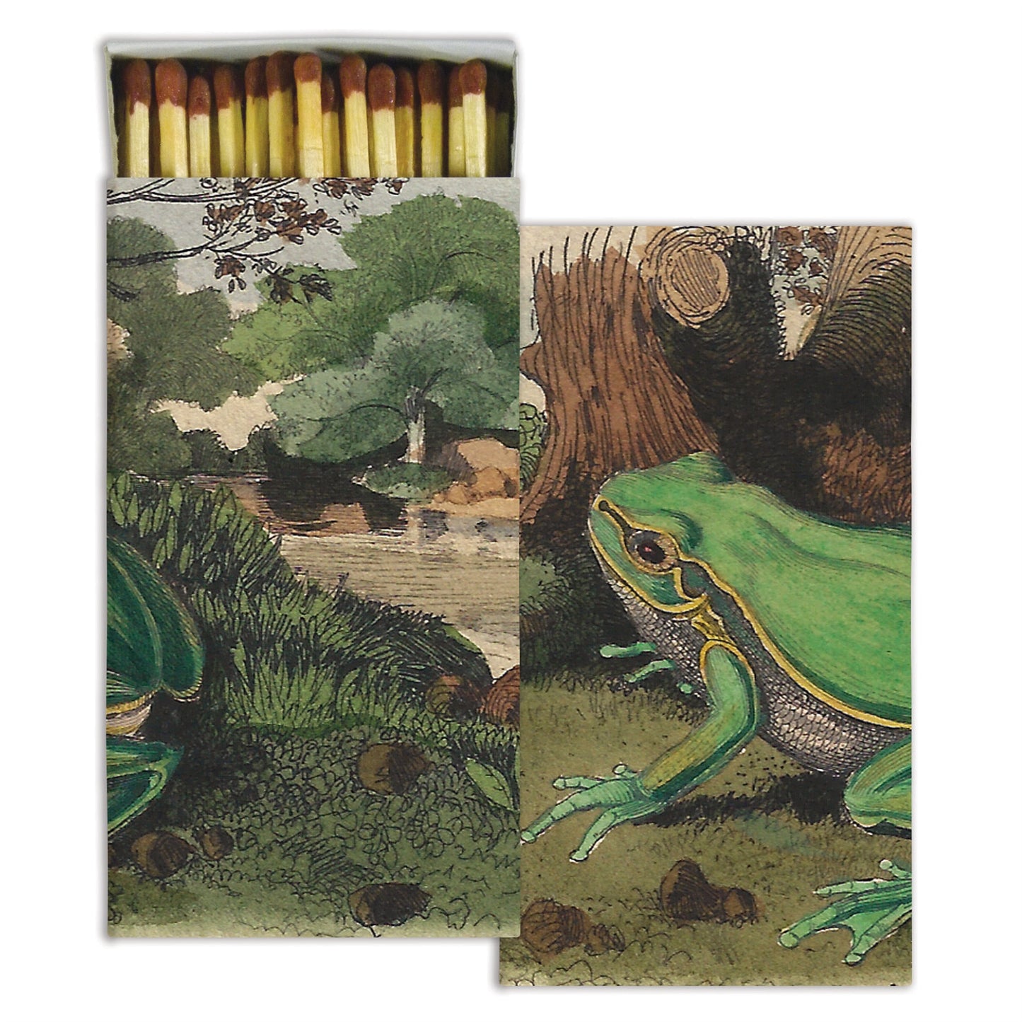 Decorative Matchbox - Frog