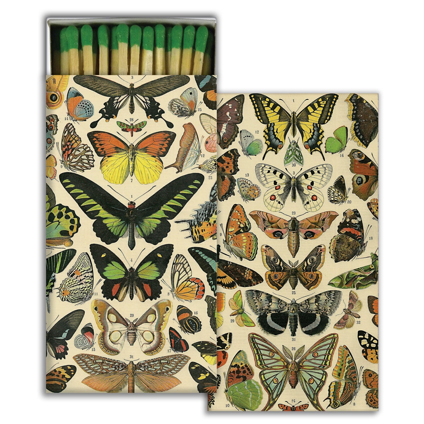 Decorative Matchbox - Butterfly Specimens