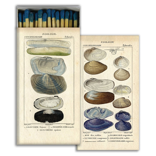 Decorative Matchbox - Seashells