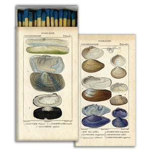 Seashells