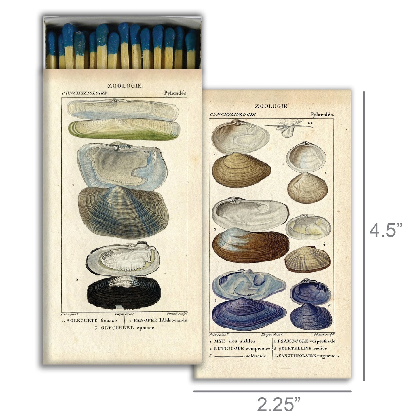 Decorative Matchbox - Seashells
