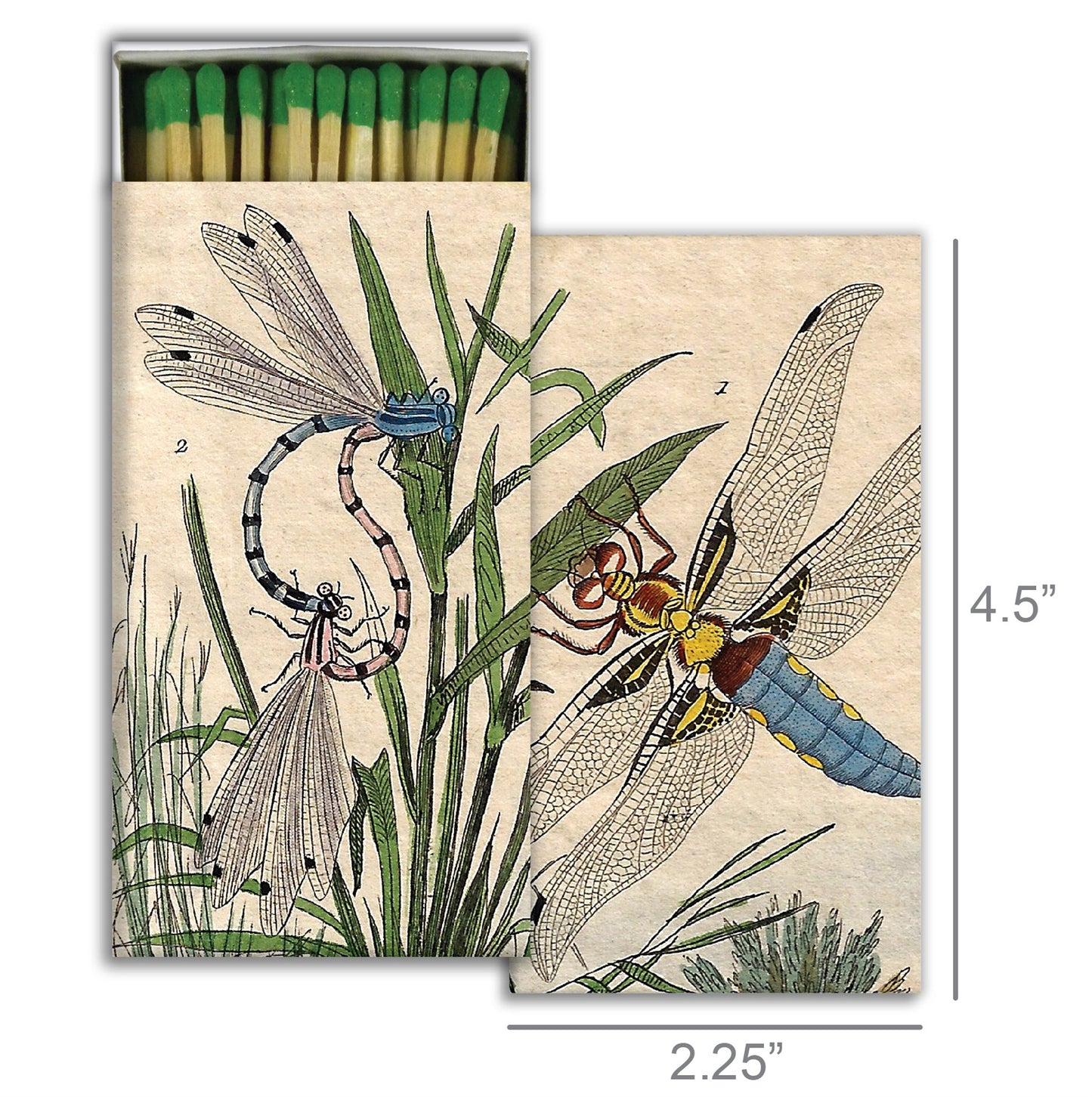 Decorative Matchbox - Dragonfly