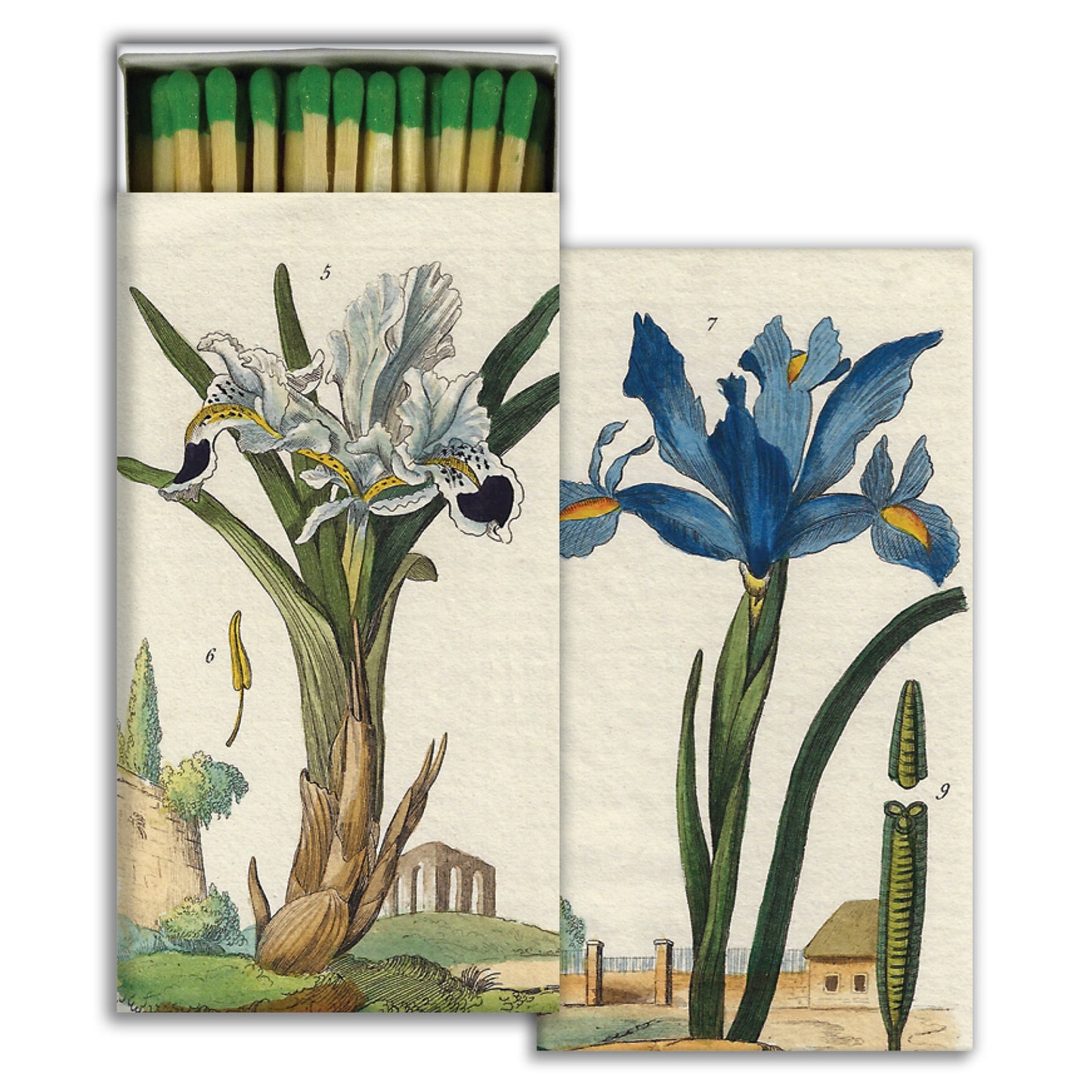 Decorative Matchbox - Iris
