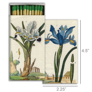 Iris