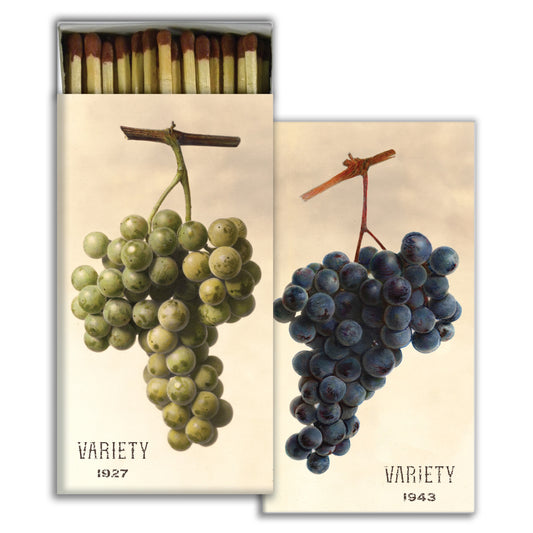 Decorative Matchbox - Grape Varieties
