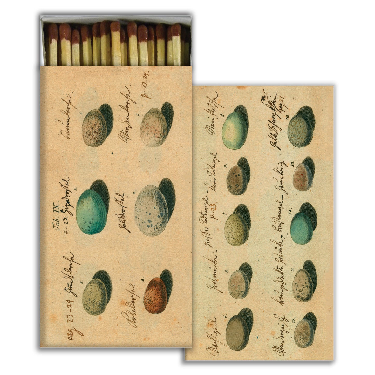 Decorative Matchbox - Eggs