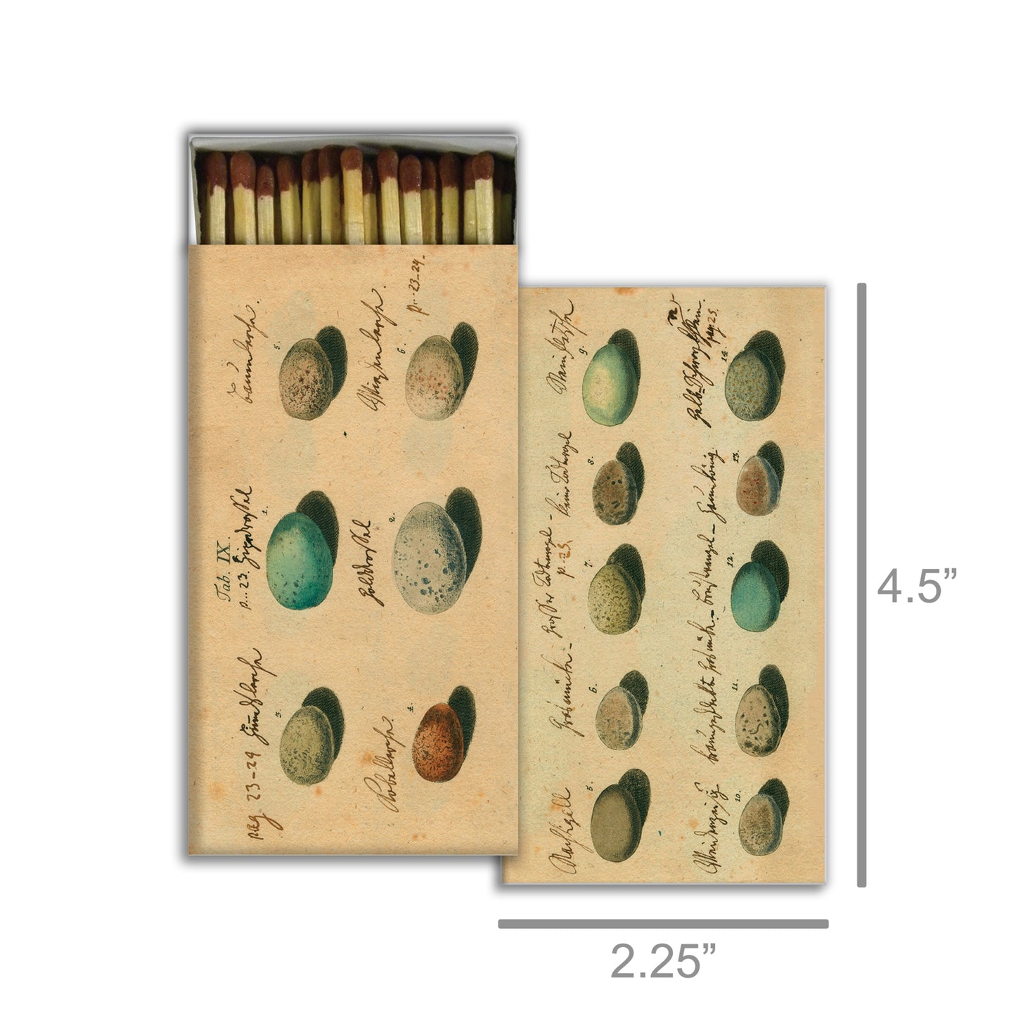 Decorative Matchbox - Eggs