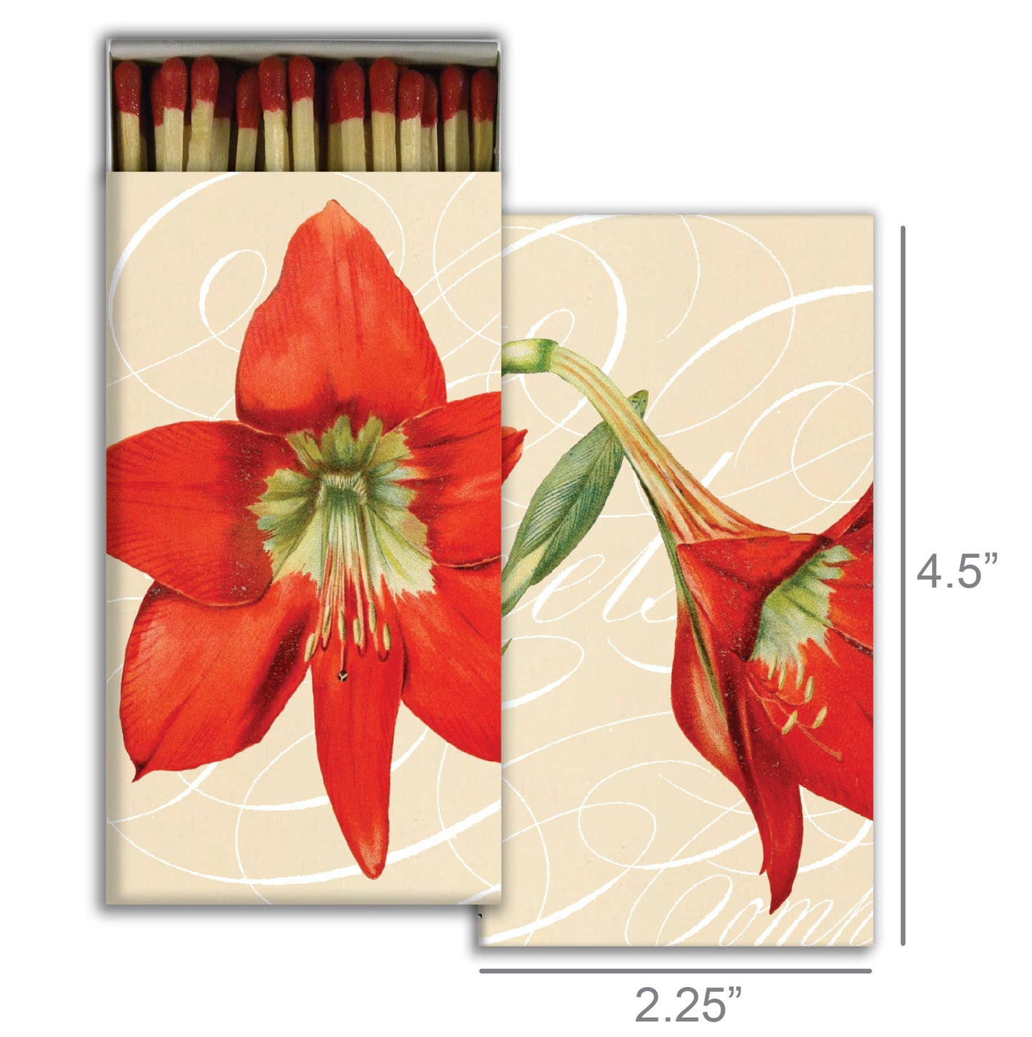 Decorative Matchbox - Amaryllis