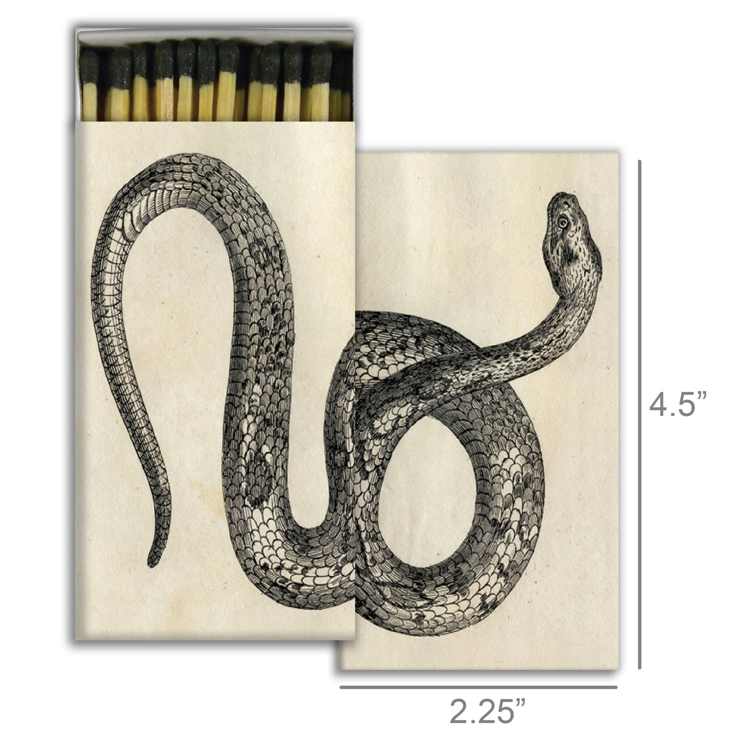 Decorative Matchbox - Snake
