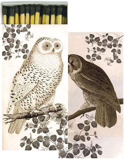 Decorative Matchbox - Vintage Owl
