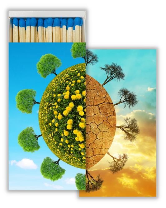 Decorative Matchbox - Lush & Dry Planet