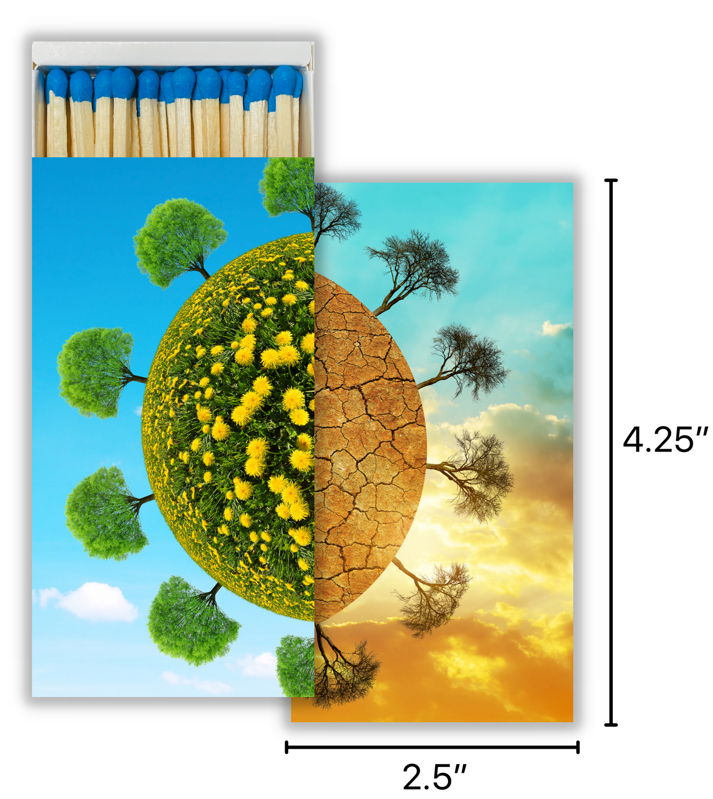 Decorative Matchbox - Lush & Dry Planet