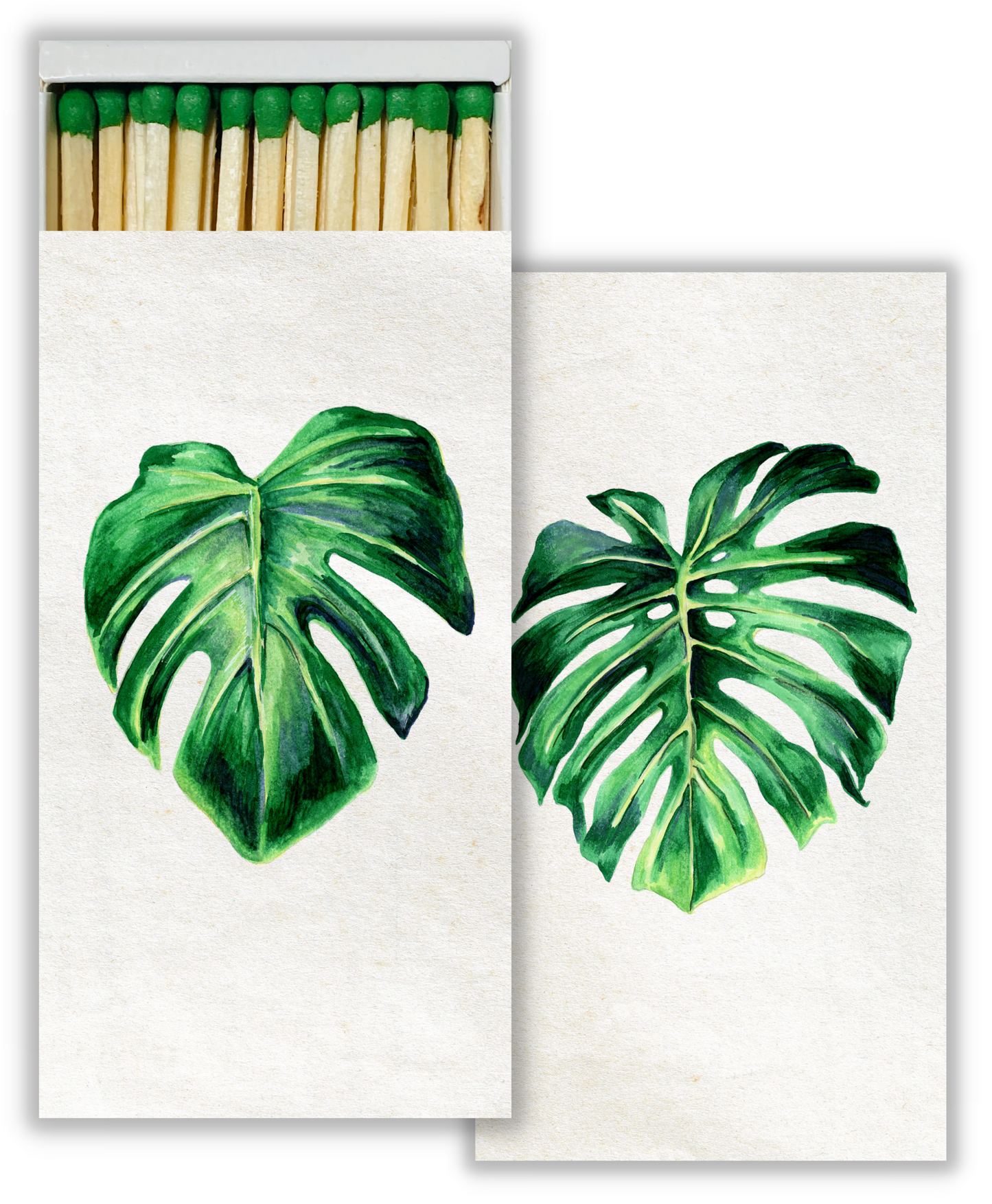 Decorative Matchbox - Monstera
