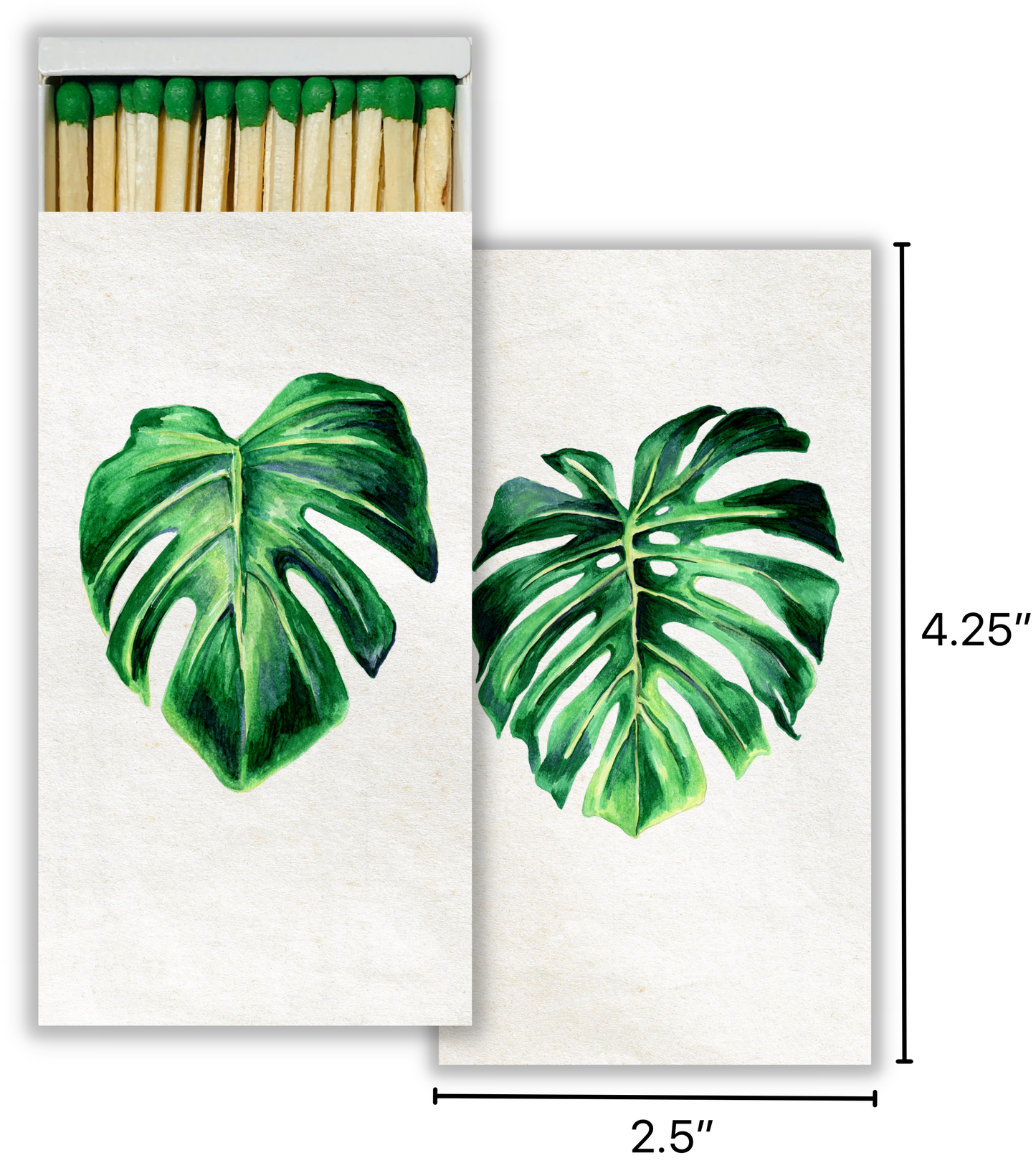 Decorative Matchbox - Monstera
