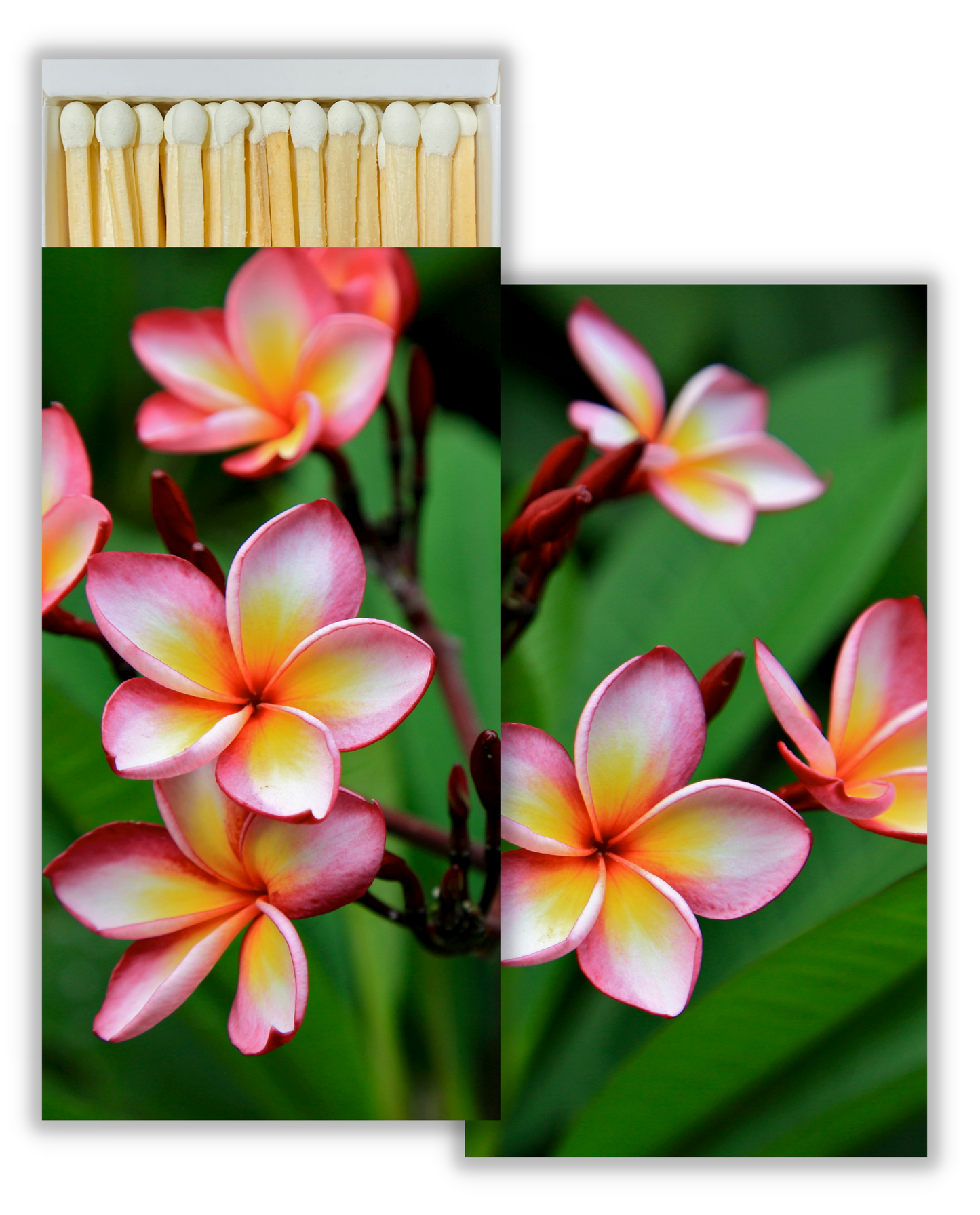 Decorative Matchbox - Plumeria