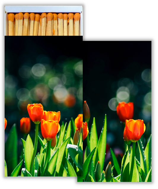 Decorative Matchbox - Tulips
