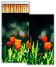 Load image into Gallery viewer, Tulips
