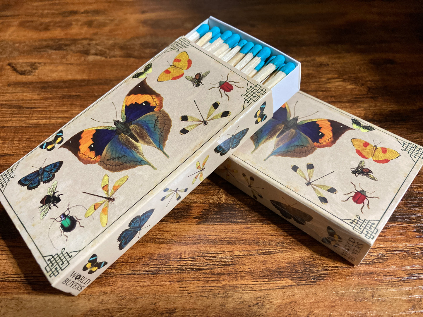 Decorative Matchbox - Insects