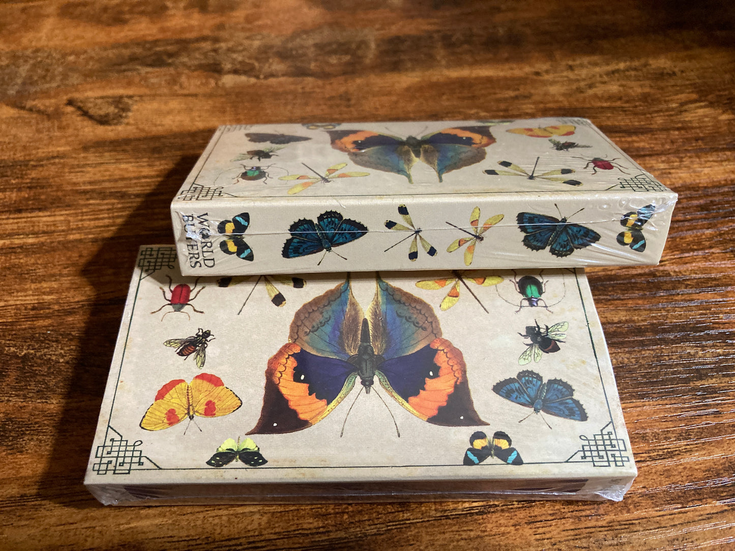Decorative Matchbox - Insects