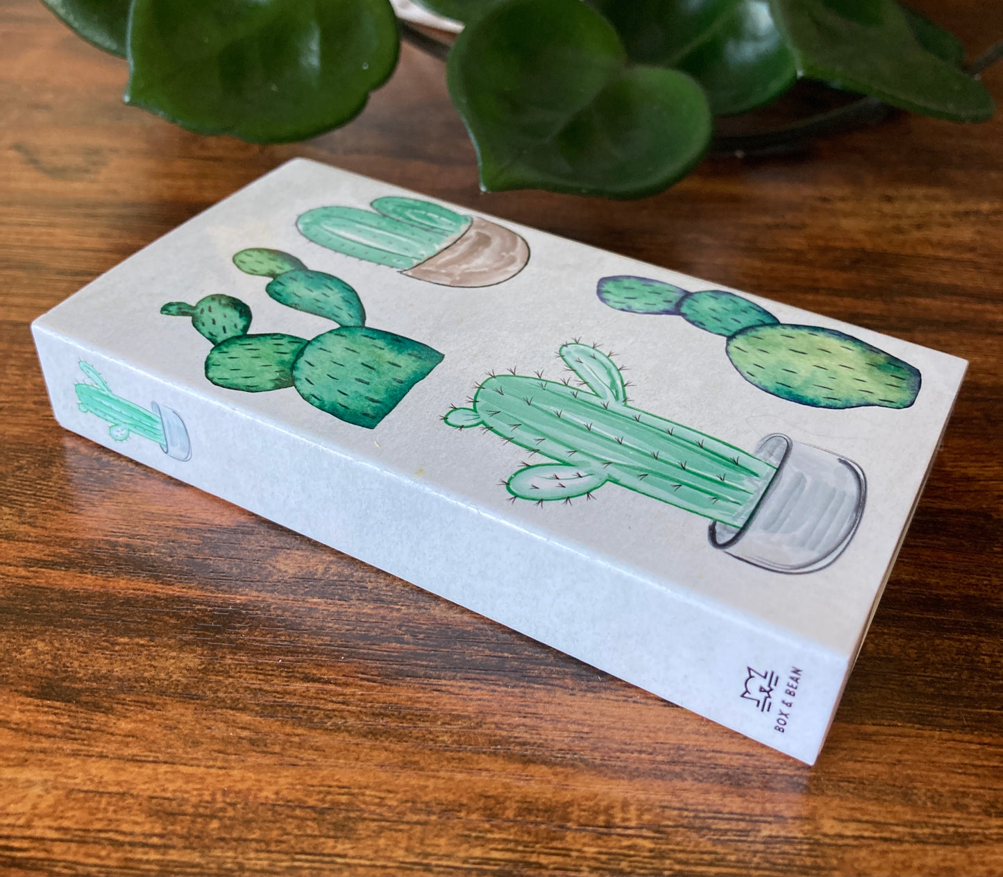 Decorative Matchbox - Watercolor Cacti