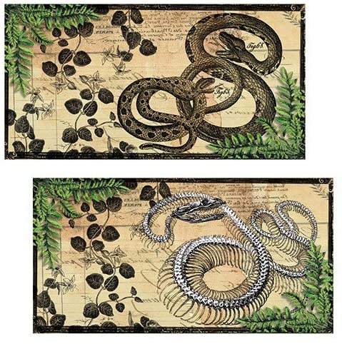 Decorative Matchbox - Vintage Snakes