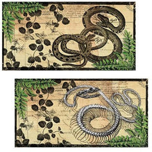 Load image into Gallery viewer, Vintage Snakes
