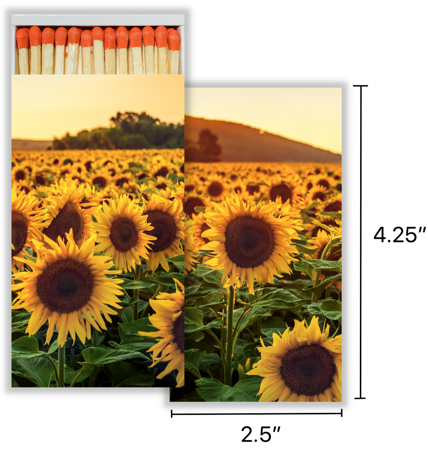 Decorative Matchbox - Sunflower Field