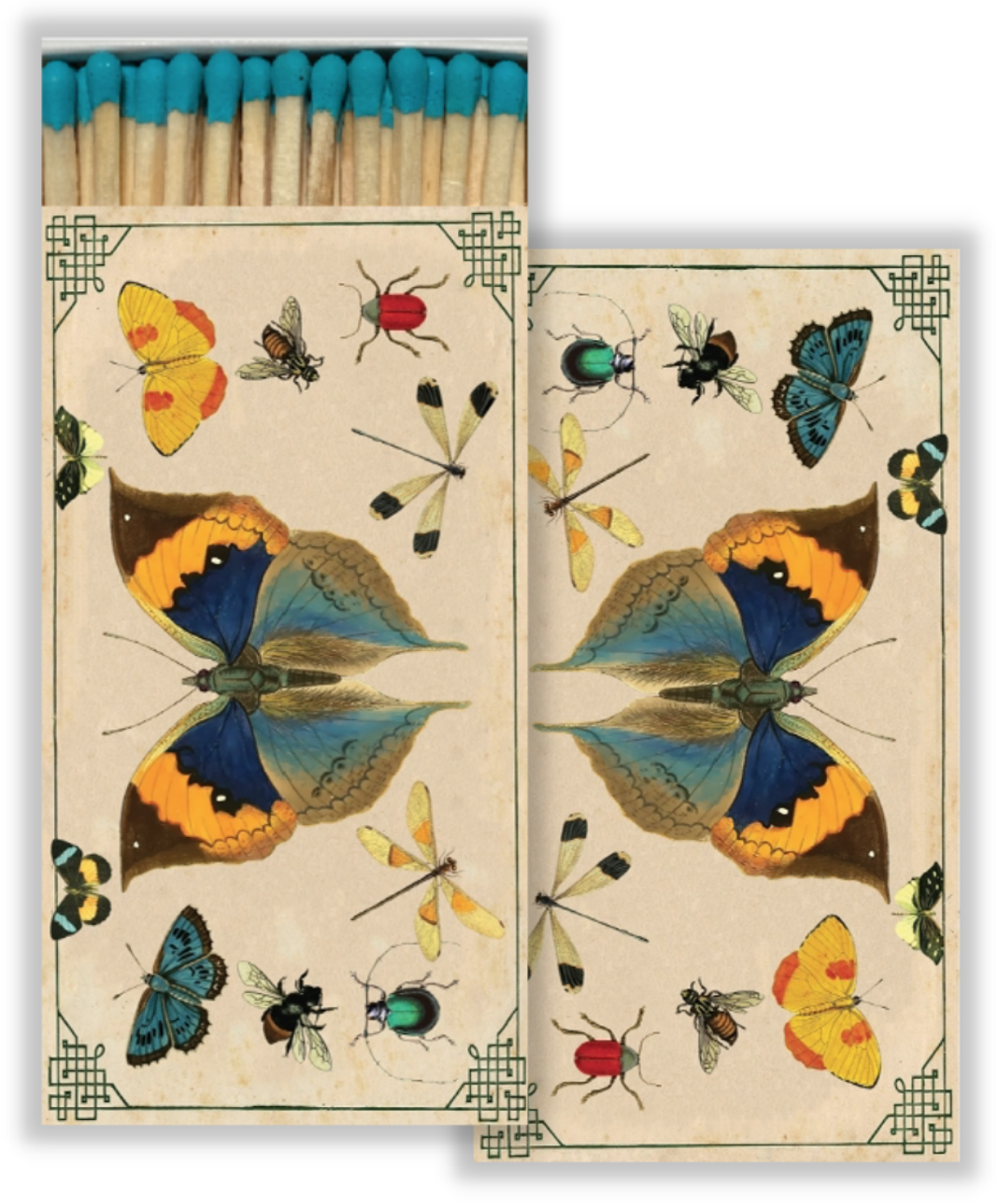 Decorative Matchbox - Insects