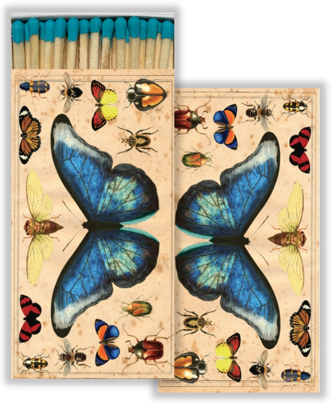 Decorative Matchbox - Blue Butterfly Insects